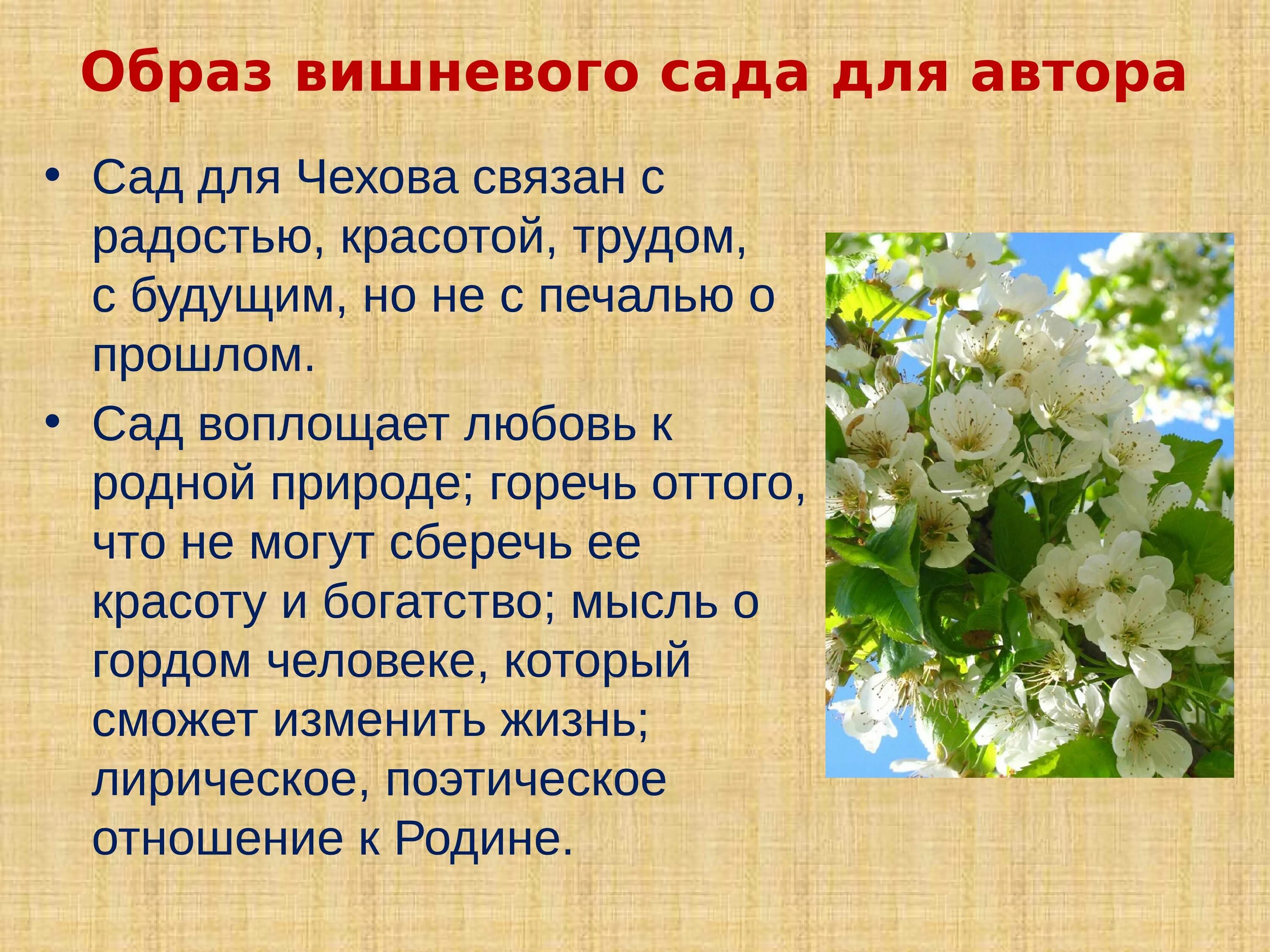 Что значит вишневый сад. Вишневый сад чехова образ сада. образ вишневого сада. вишневый сад презентация. чехов вишневый сад презентация.