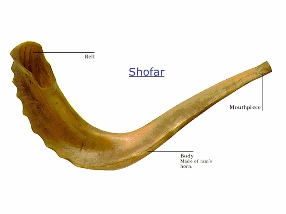 Еврейский музыкальный инструмент шофар. Шофар духовой музыкальный инструмент. Музыкальные инструменты евреев национальные. Еврейский национальный музыкальный инструмент.