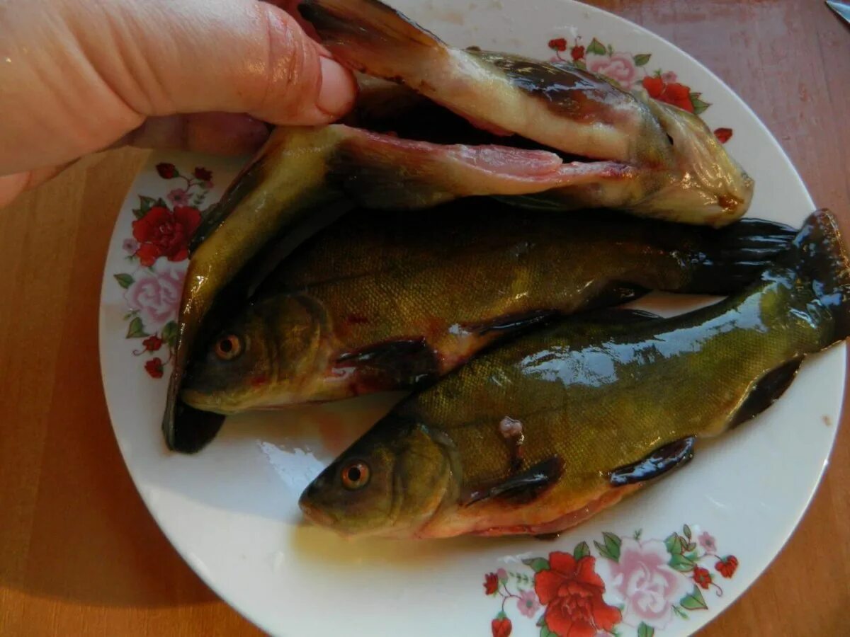 Линь, жаренный кусочками на сковороде в масле. Рецепт с фото