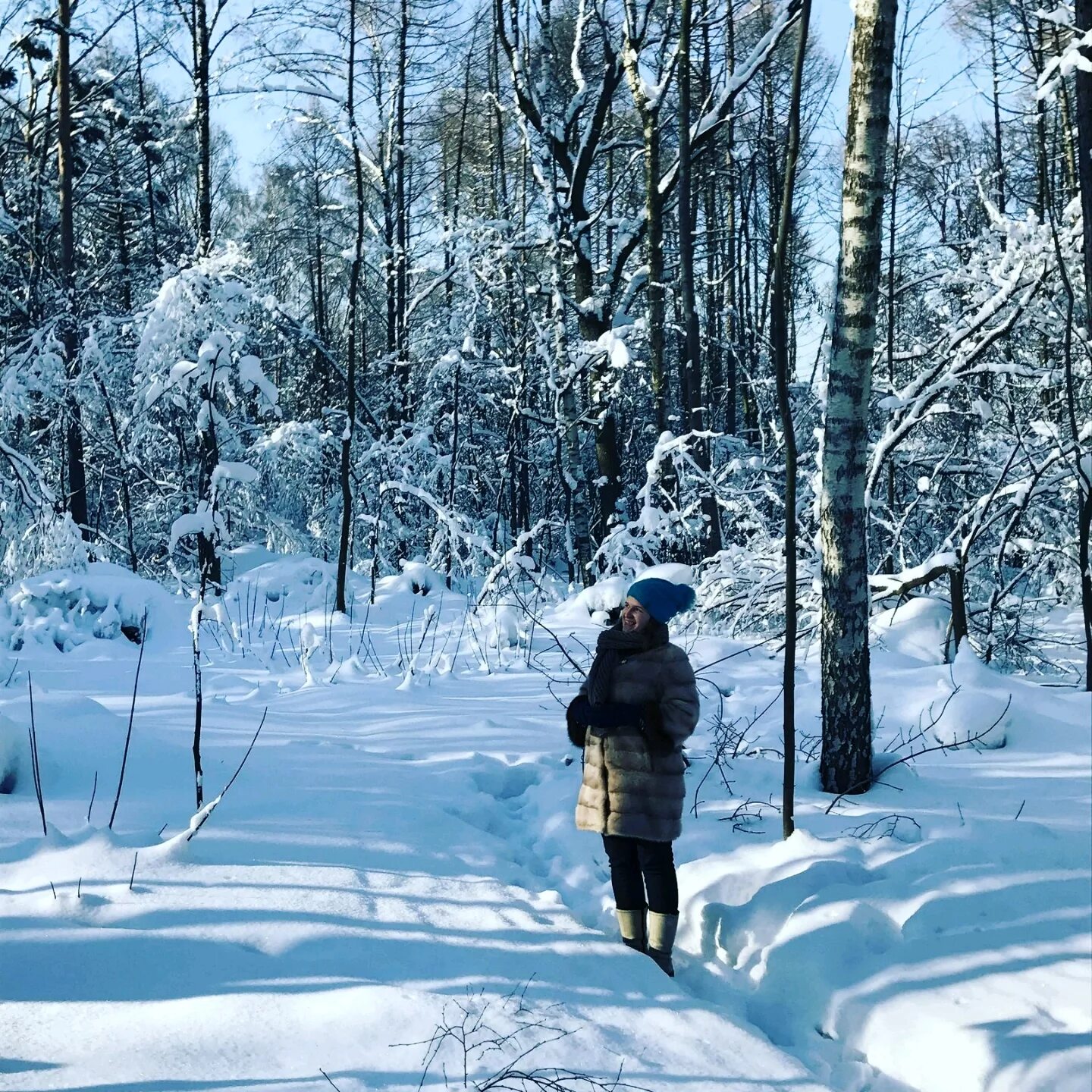 В лесу зимой можно. Зимой в лесу. Зимняя прогулка. Прогулка в зимнем лесу. Прогулка в лесу зимой.