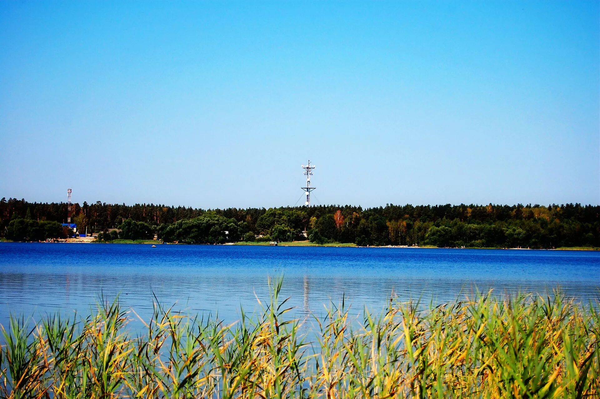 Белое озеро Кузнецк. Белое озеро Ульяновск. Белое озеро Ульяновская область. Белое озеро Николаевский район.