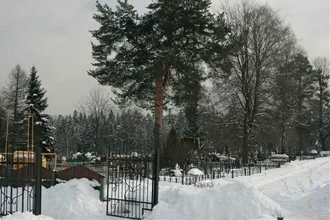 Кладбище сходня