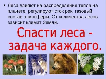 Сообщение на тему мир глазами эколога