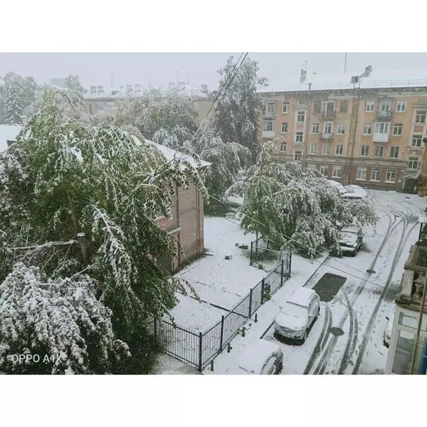 Купить в кемерово сегодня. В Кемерово выпал снег. Первый снег Кемерово. Первый снег в Новосибирске. Снегопад в Кемерово.