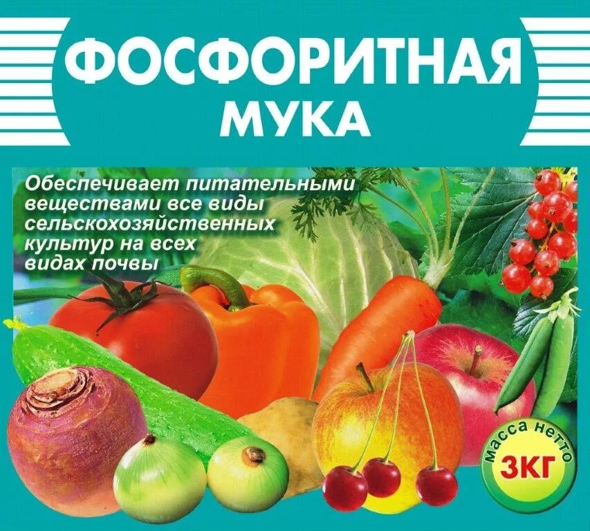 Фосфоритную муку вносят