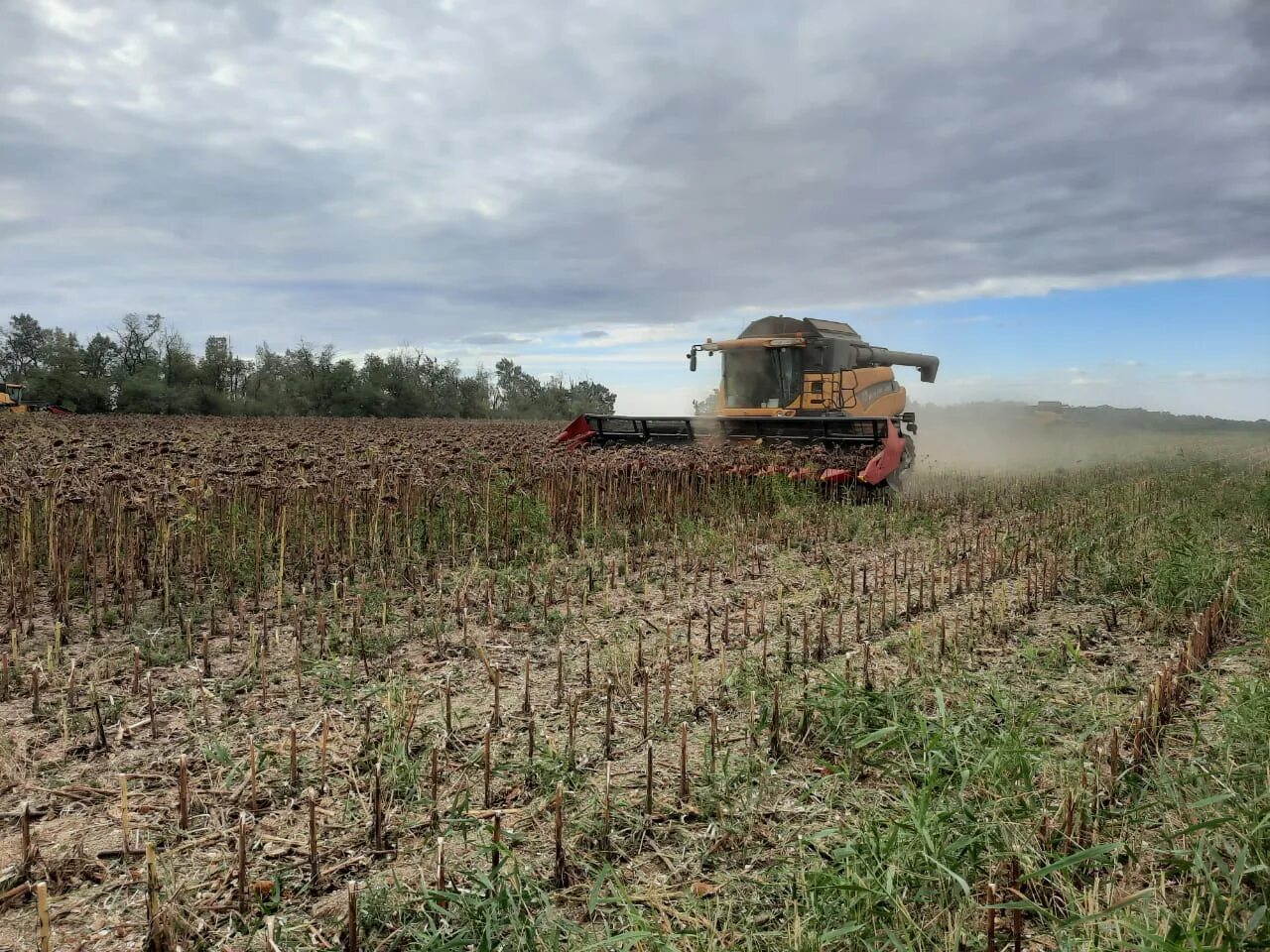 зао совхоз им. большееланское сельское хозяйство. совхоз имени кирова ставропольский край. совхоз им кирова ставропольский край. зао совхоз имени кирова труновский район ставропольский край.