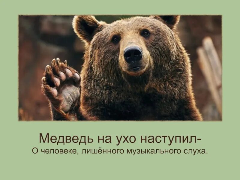 Медведь на ухо наступил значение предложение
