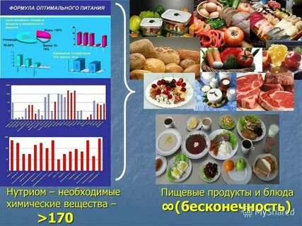 Химия в составе продуктов