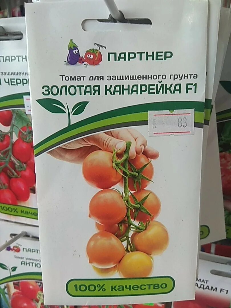 Характеристика томата золотая канарейка. Характеристика томата золотая канарейка. Сорт томатов золотая канарейка. Томат золотая канарейка мязина. Томат золотая канарейка.