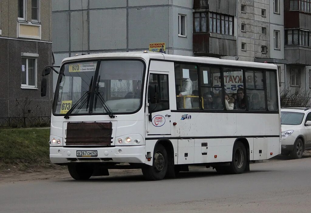 439 маршрутка сертолово. Автобус 671 из сертолово в песочный. Автобус 673 сертолово. 673 маршрутка сертолово. Расписание автобусов 671 сертолово.