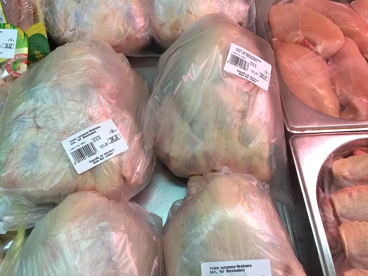 Цена курицы в магните. Курица в магазине. Курица в магните. Куры в магазине. Куры в магните.