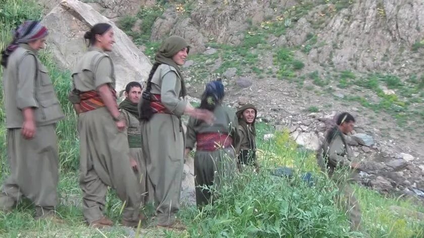 Pkk search