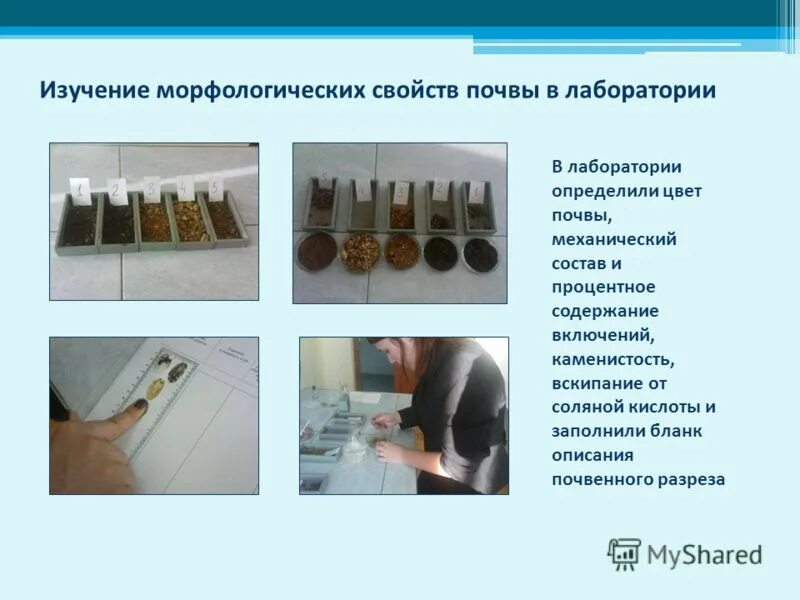 Лабораторное определение цвета. Определение состава почвы. определение механического состава почвы лабораторная работа. изучение механического состава почв. метод определения механического состава почвы.
