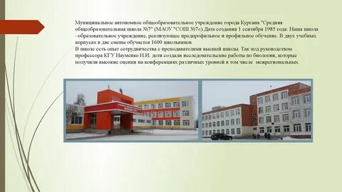 Школа кургана имени