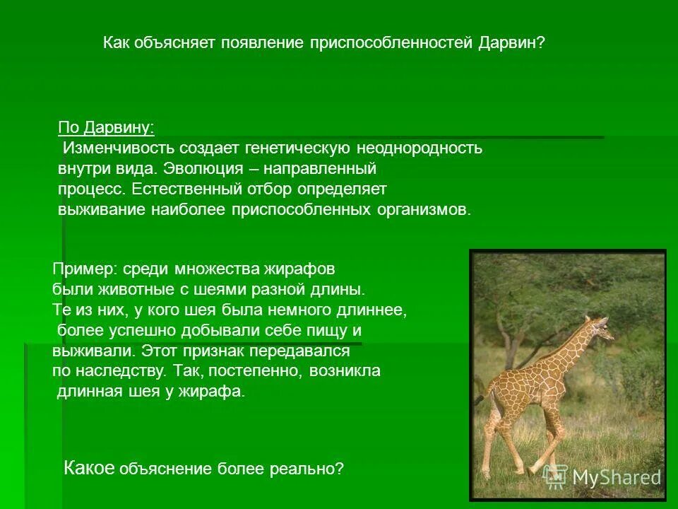 Объяснить вид. Возникновение приспособленности у организмов. Возникновение приспособленности Дарвин. Возникновение приспособленности по Дарвину. Приспособление организмов по Ламарку.