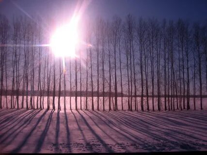 Длинные тени солнце село