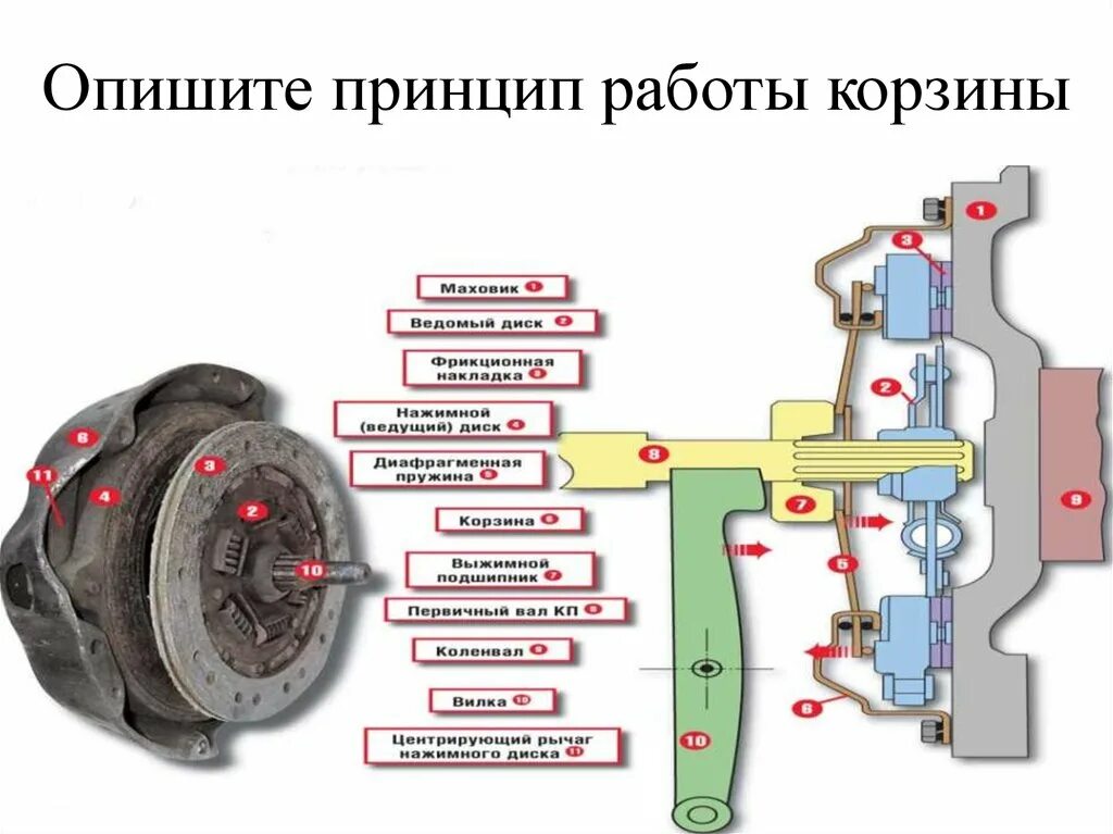 Принцип работы сцепления механической. Принцип работы сцепления. Принцип работы корзины сцепления автомобиля. Принцип раблтысцепления. Сцепление устройство и принцип работы.