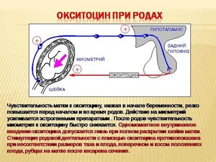 Дозировка окситоцина при родах
