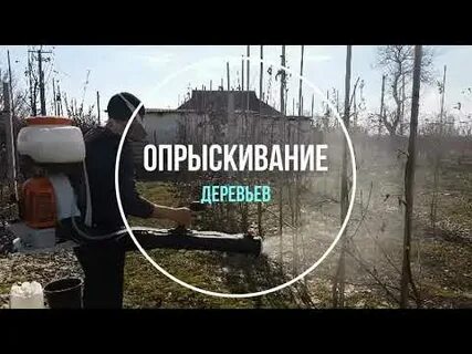 При какой температуре опрыскивать деревья осенью мочевиной