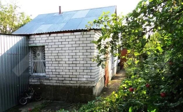 Металлургов 3 сады. Снт металлург 4 липецк. металлург-4 садоводческое товарищество липецк. сады металлург 3 липецк. снт металлург-3 домодедово.