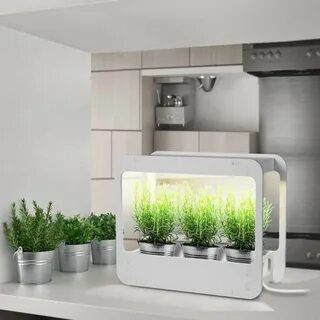 Plants plus