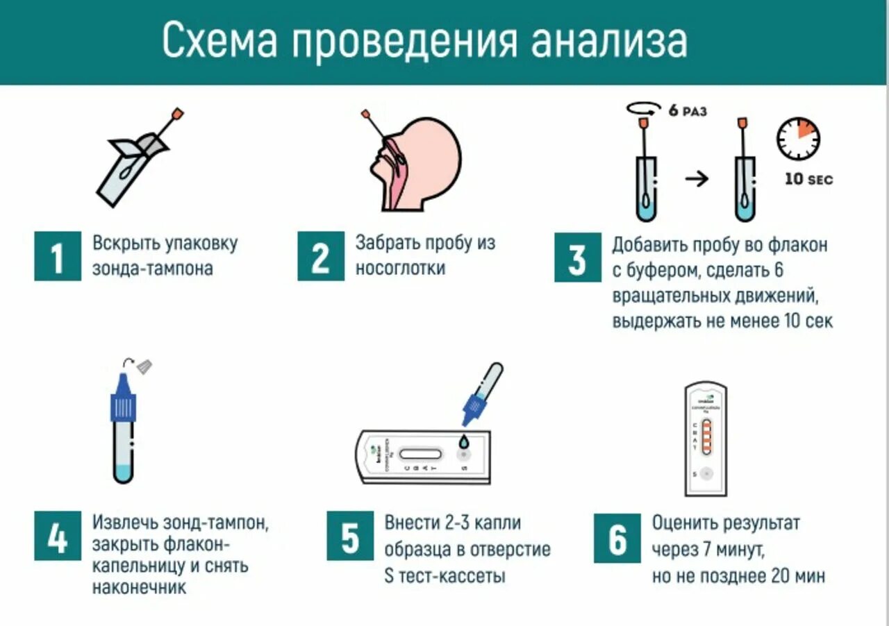 Тесты на грипп в поликлинике. Экспресс тест на грипп. Тести на Гриппи. Результаты экспресс теста на грипп. Экспресс тест на грипп инструкция.