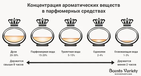 Концентрации парфюмерии классификация. Градация концентрации духов. Концентрация парфюма. Концентрация духов и туалетной воды. Что держится дольше туалетная или парфюмерная вода