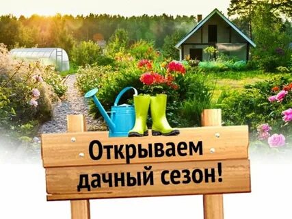 Огород картинки с надписями