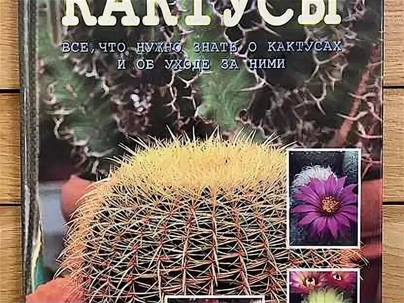 Книга про кактусы. Детские книги о кактусах художественные. Книги про кактусы. Книга про кактусы. Книга про кактусы.