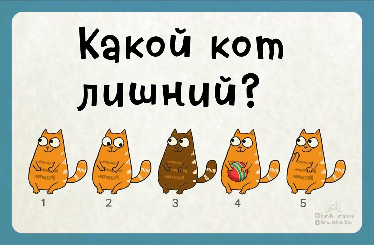 Найди какой ты кот. Какой кот лишний. загадки для инстаграмма. какой кот лишний загадка ответ. головоломки с котами.