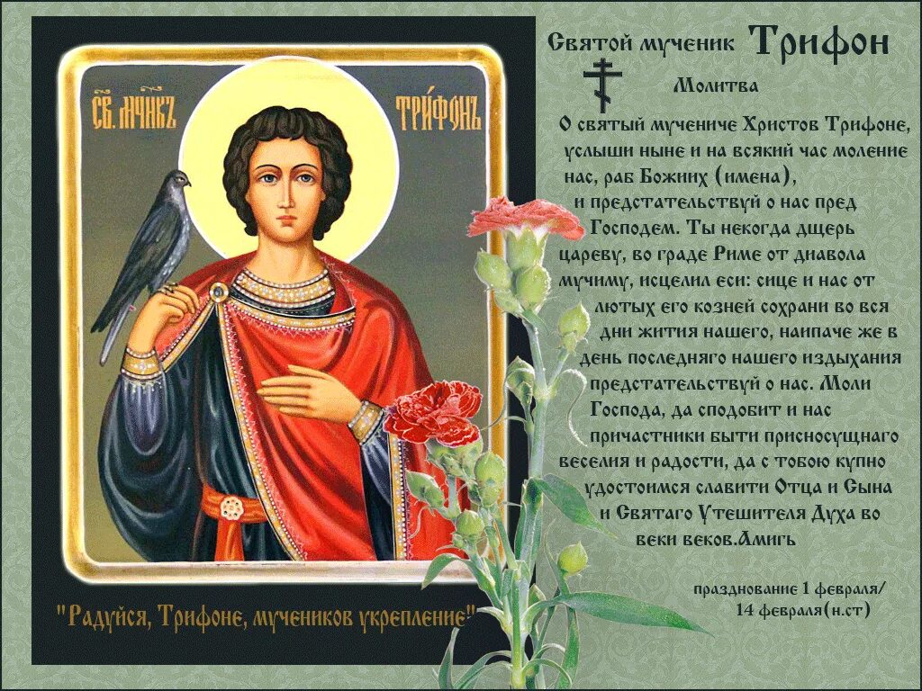 Молитва помощь животным. Икона святого трифона покровителя. икона св муч трифона. молитва 14 февраля святому трифону.