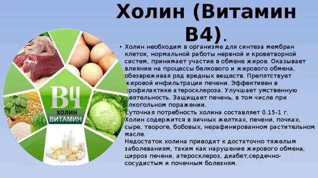 Витамин в4 продукты. Витамин b4 Холин. Холин витамин в4 препараты. Холин в каких продуктах содержится. Витамин в4 Холин в таблетках.