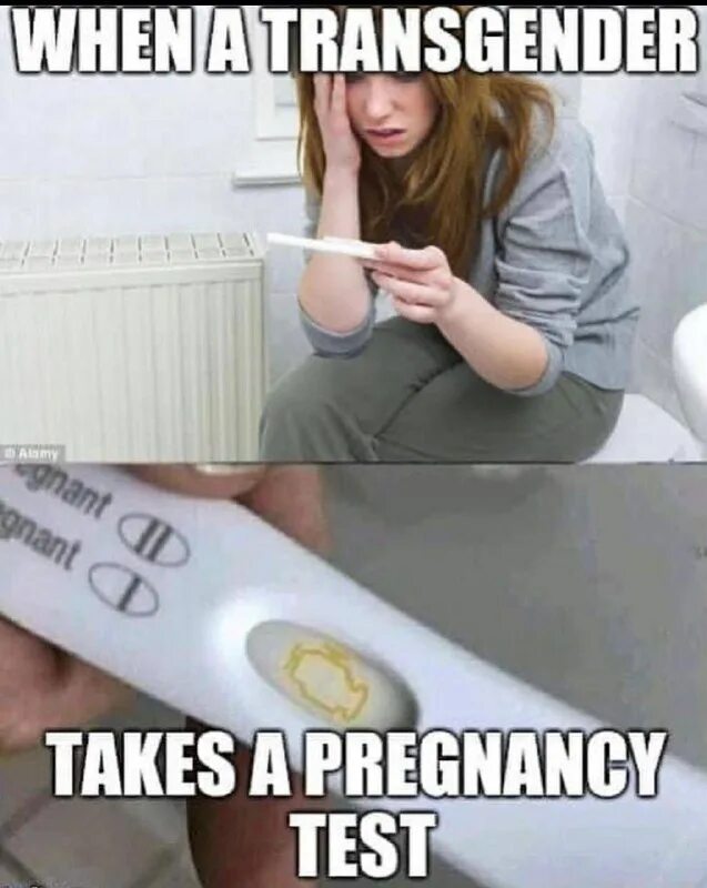 Тестирование мем. Take me to the test. Балерун сергей полунин. Kaleida take me. Фразовый глагол take worksheets.