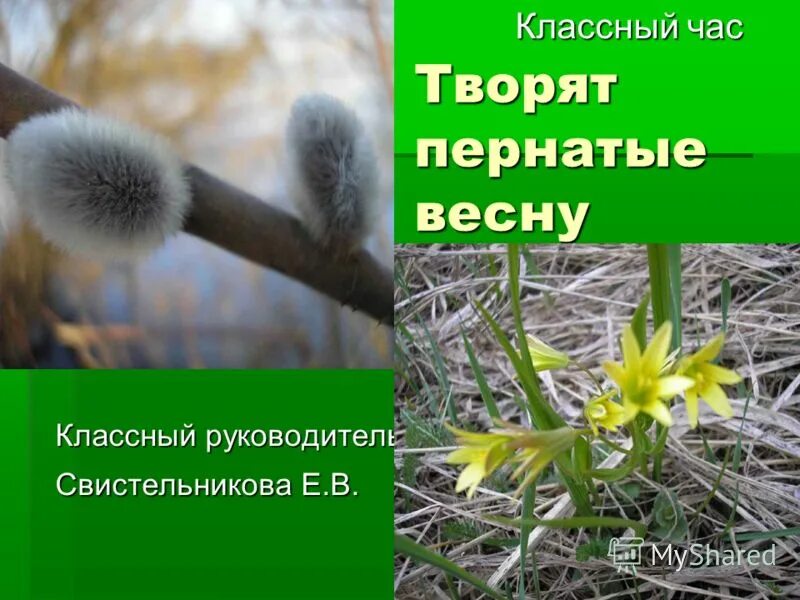 Весенние правила безопасности для детей. Крым классный час. Классный час. Весенний классный час. Весенний классный час.