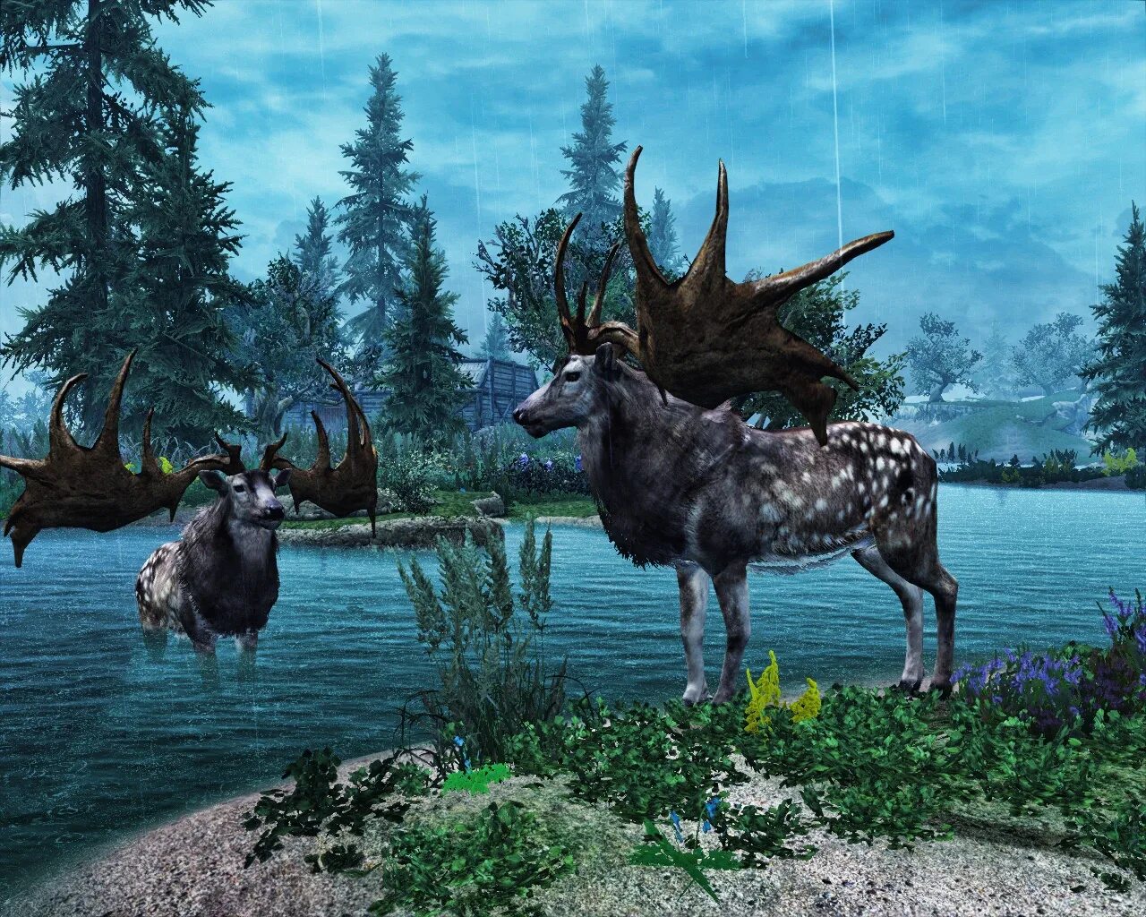 Animals skyrim