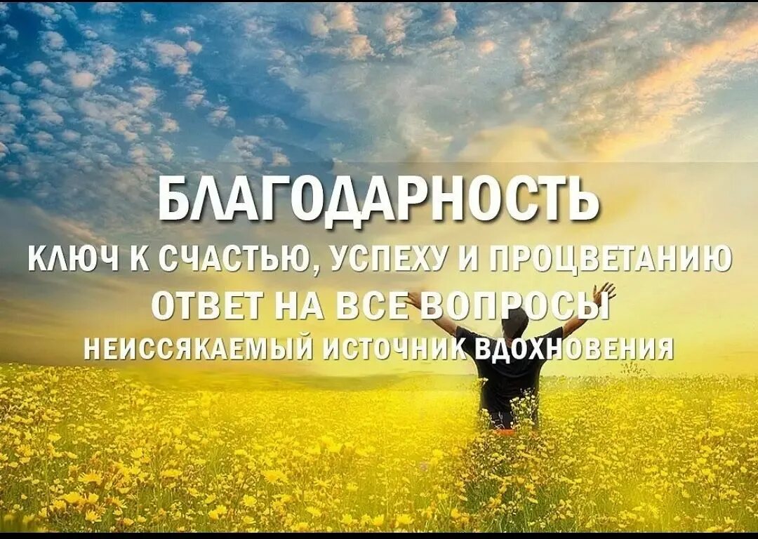 Благодарность цитаты. Афоризмы на тему счастье. Высказывания о благодарности. Радость жизни цитаты