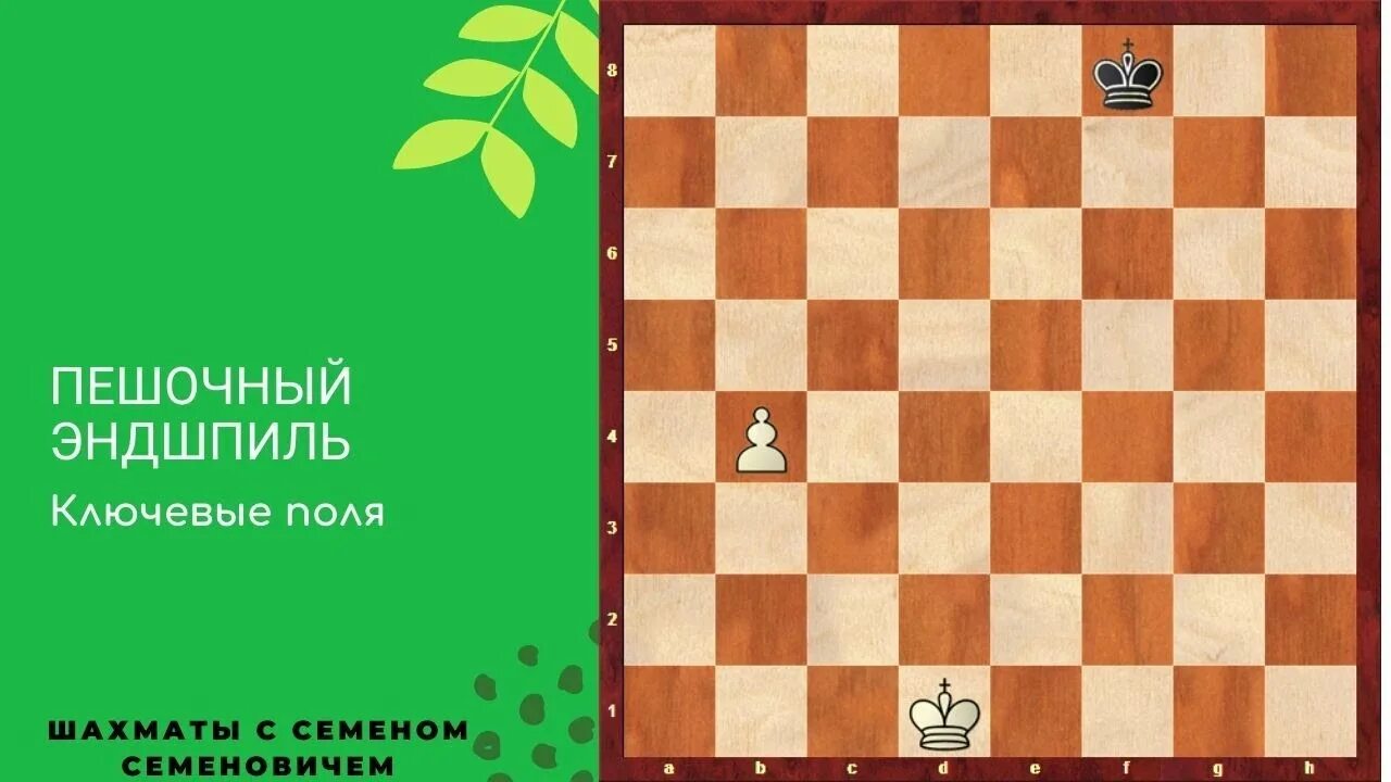 Пешечный эндшпиль в шахматах. Поля соответствия в шахматах. Шахматные задачи на пешечный эндшпиль. Пешечный прорыв в шахматах. Пешечный эндшпиль.