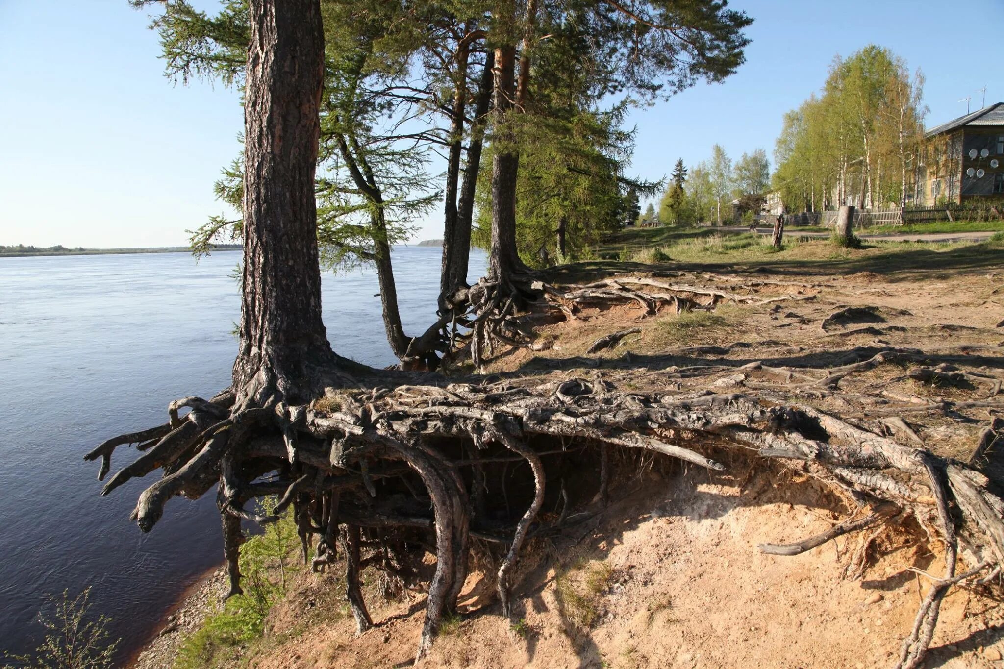 Погода пинега архангельская область на неделю. Усть-Пинега Архангельской. Усть Пинега Архангельск. Усть Пинега Холмогорского района Архангельской области. Усть-Пинега Архангельской области сплав.