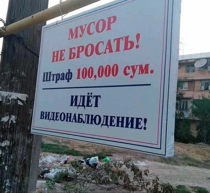 Штраф 5 000 рублей