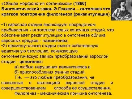 Общей морфологии