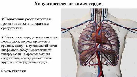 Давление грудной клетки на сердце
