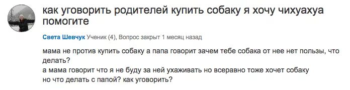 Как уговорить родителей купить щенка. Как упросить маму купить собаку. Как уговорить родителей на собаку. Как уговорить родителей купить собаку. Как уговорить маму в гости