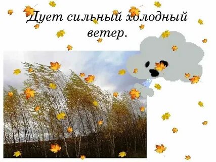Ветерок дует холодным
