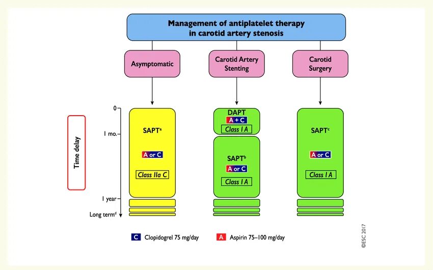 Therapy guidelines. Шкала dapt. шкала precise dapt. antiplatelet therapy. esc guidelines.