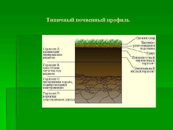 2 строение почвы. Строение почвы почвенные горизонты. структура почвы почвенные горизонты. почвенный профиль 3 слоя. схематический почвенный профиль.