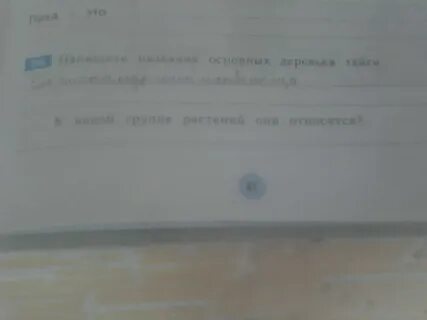 Запишите название основных