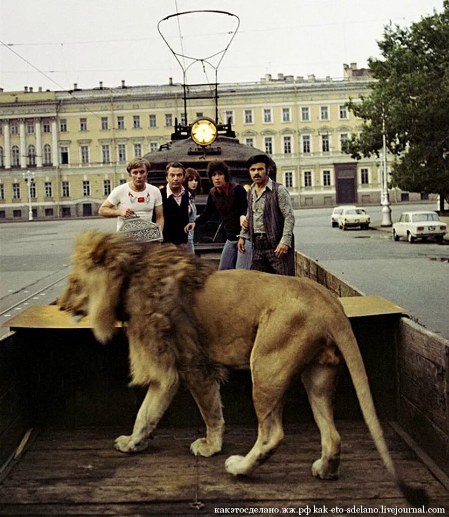 Невероятные приключения итальянцев в России (1973). Невероятные приключения итальянцев в России Лев Кинг.