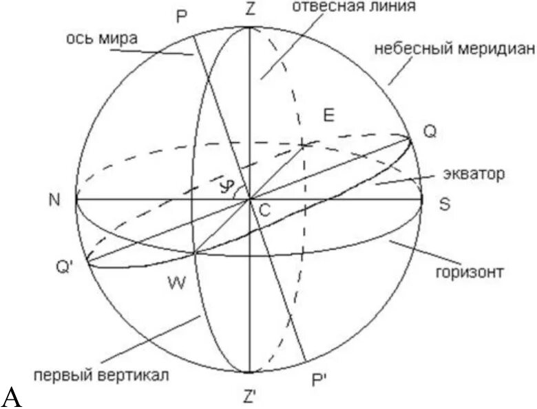 Отвесная прямая линия. Основные элементы небесной сферы. Отвесная линия на небесной сфере. Точки небесной сферы астрономия.