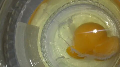 Выкатка яйцом