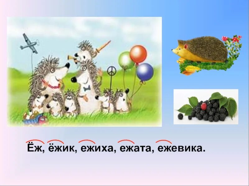 Состав слова ежика. Однокоренные слова к слову ёж. Еж однокоренные слова. Еж родственные слова. Ежик однокоренные слова.